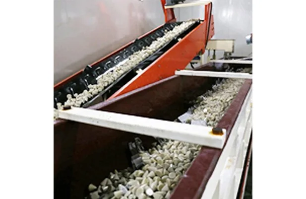 Inovatec Machinery Linnear 진동 연속 마무리 시스템 독일 디자인 연마기 버핑 기계 세부 정보6