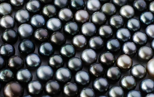 Inovatec Machinery Tahitian 양식 흑진주 연마